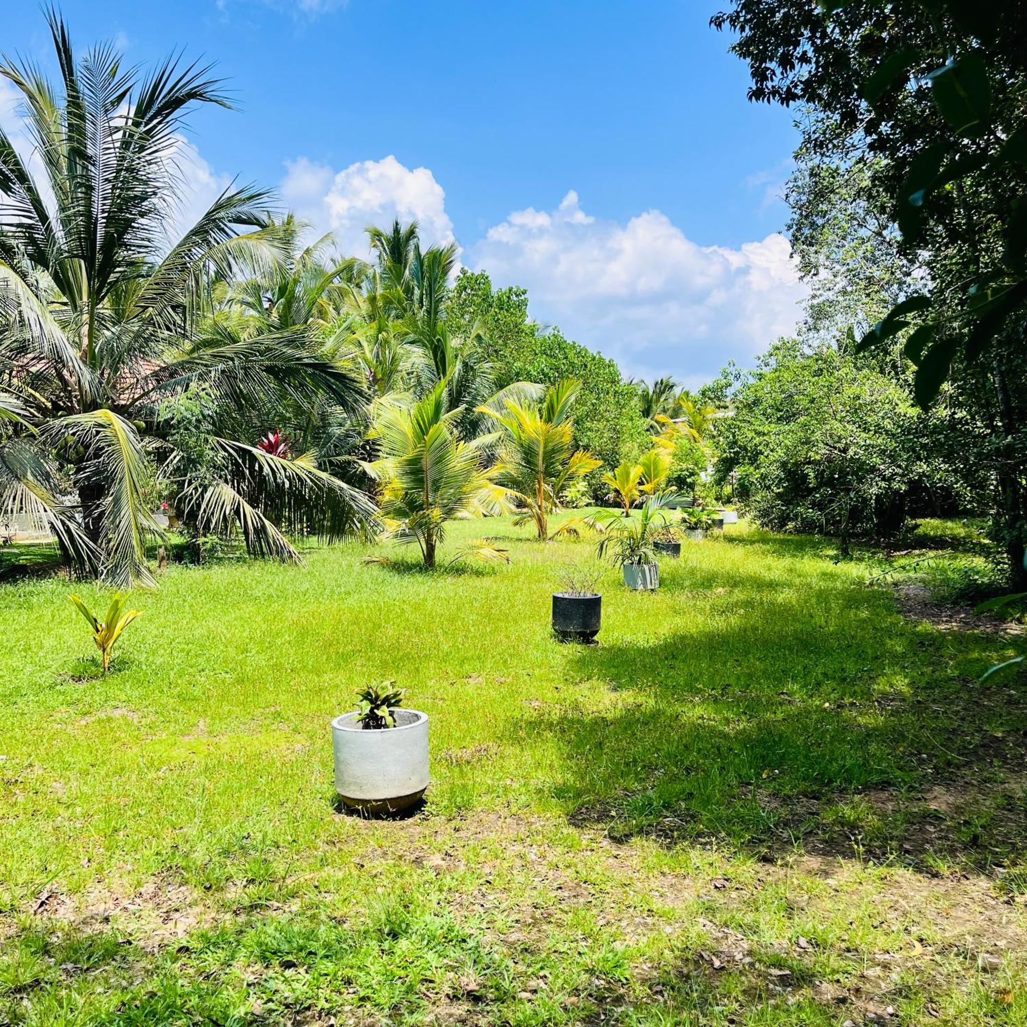 Hanguk Lanka Lagoon Villa Tangalle Exteriér fotografie
